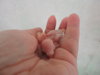 DSCN9044.JPG