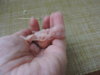 DSCN9049.JPG