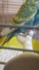 IMG-20200509-WA0042.jpeg
