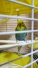 IMG-20200509-WA0047.jpeg