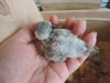 DSCN9063.JPG