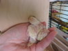 DSCN9064.JPG