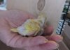 DSCN9066.JPG