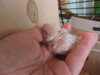 DSCN9068.JPG