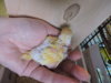 DSCN9067.JPG