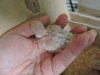 DSCN9069.JPG