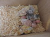 DSCN9072.JPG