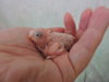 DSCN9076.JPG