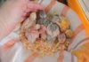 DSCN9079.JPG