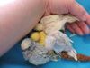 DSCN9088.JPG