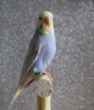DSC_9647.JPG