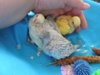 DSCN9106.JPG