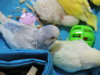 DSCN9134.JPG