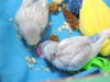 DSCN9143.JPG