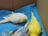 DSCN9140.JPG