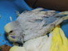 DSCN9129.JPG