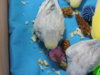 DSCN9142.JPG