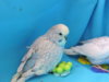 DSCN9211.JPG