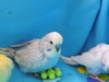 DSCN9212.JPG