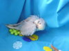 DSCN9225.JPG
