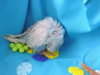 DSCN9229.JPG
