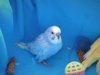DSCN9248.JPG
