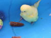 DSCN9223.JPG