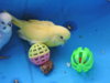 DSCN9245.JPG
