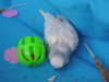 DSCN9226.JPG