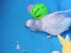 DSCN9231.JPG