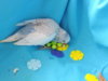 DSCN9242.JPG