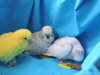 DSCN9215.JPG