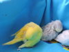 DSCN9217.JPG