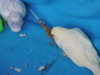DSCN9227.JPG