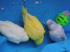 DSCN9228.JPG