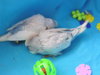 DSCN9234.JPG