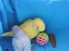 DSCN9240.JPG