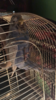 EC653AD0-3719-49CE-8FA0-CDB460B9F099.png