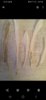 Screenshot_20200427-232636_Photos.jpg