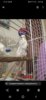 Screenshot_20200427-232918_Photos.jpg