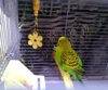IMG_20200528_184324.jpg