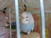 DSCN9410.JPG