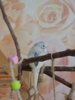 DSCN9412.JPG
