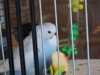 DSCN9397.JPG