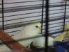 DSCN9361.JPG