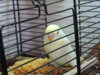 DSCN9386.JPG