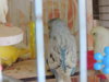 DSCN9395.JPG
