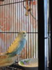 DSCN9419.JPG