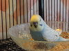 DSCN9432.JPG