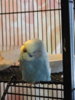 DSCN9461.JPG
